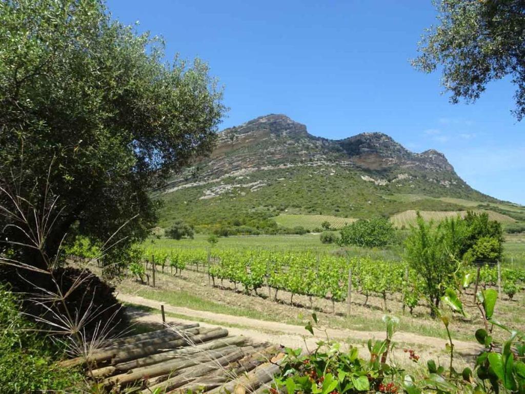 Jardin Et 2 Chambres Centre St Florent Saint-Florent  Eksteriør bilde